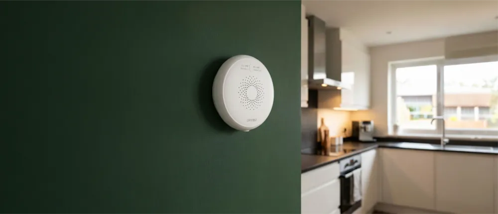 სახლის დაზღვევას საჩუქარი მოჰყვება